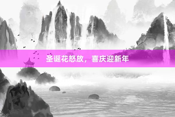 圣诞花怒放，喜庆迎新年