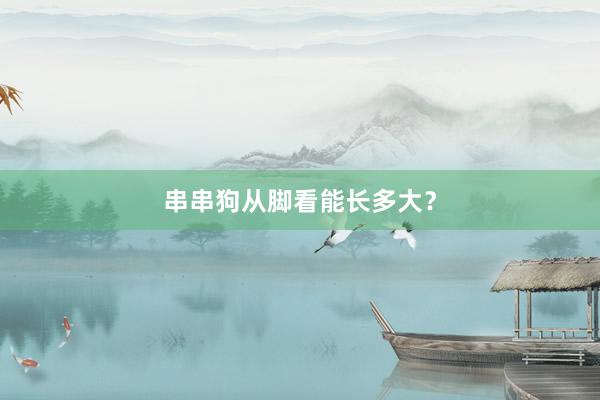 串串狗从脚看能长多大？