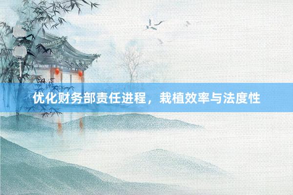 优化财务部责任进程,栽植效率与法度性